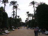 Park, Cadiz